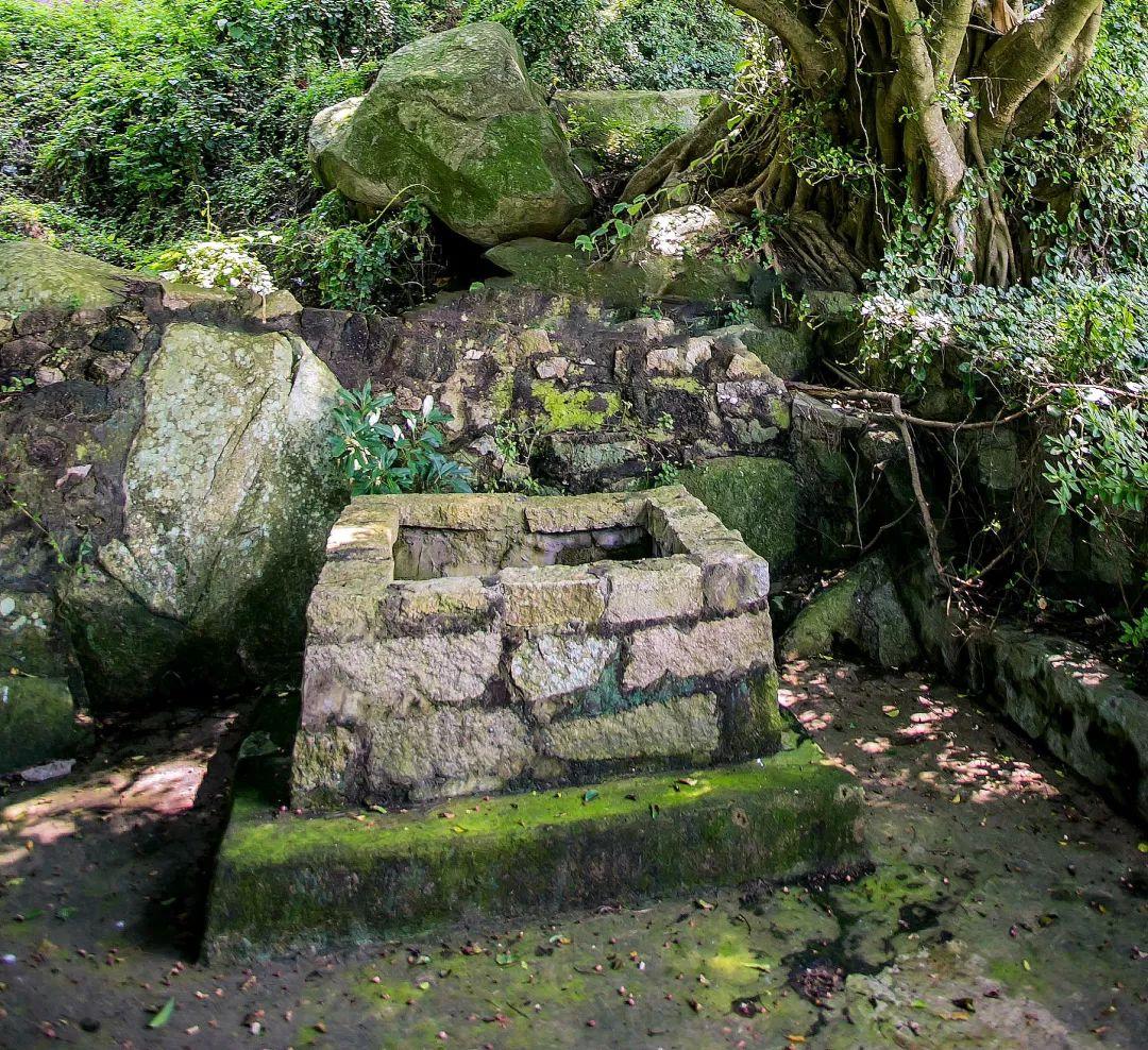 广东潮建有限公司汕头,广东潮建有限公司在汕头的蓬勃发展