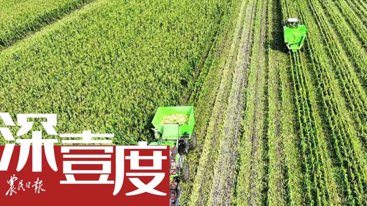 江苏科技肥料,江苏科技肥料，引领农业发展的科技创新力量