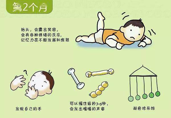 全车改装套件 第160页
