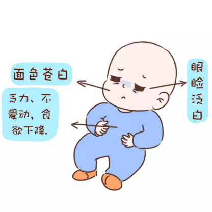 9个月宝宝奶量,九个月宝宝的奶量需求与喂养建议