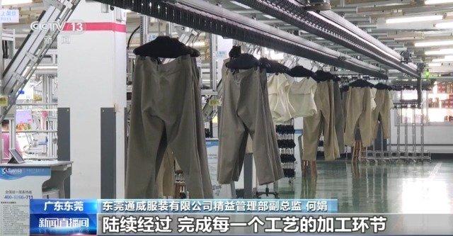 广东顺德制衣有限公司,广东顺德制衣有限公司，卓越品质与持续创新的典范
