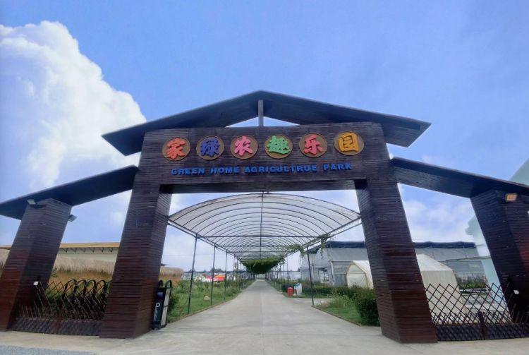 广东省遛娃,广东省遛娃，亲子游玩的天堂