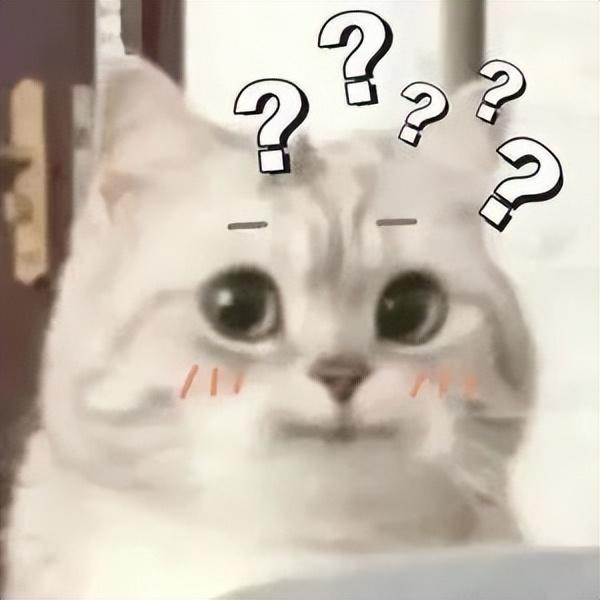 有猫用什么床上用品,有猫的家庭该如何选择床上用品，舒适与安全的完美结合