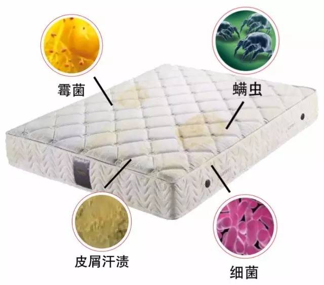 滋生细菌的床上用品,床上用品滋生细菌的隐患及其防治策略