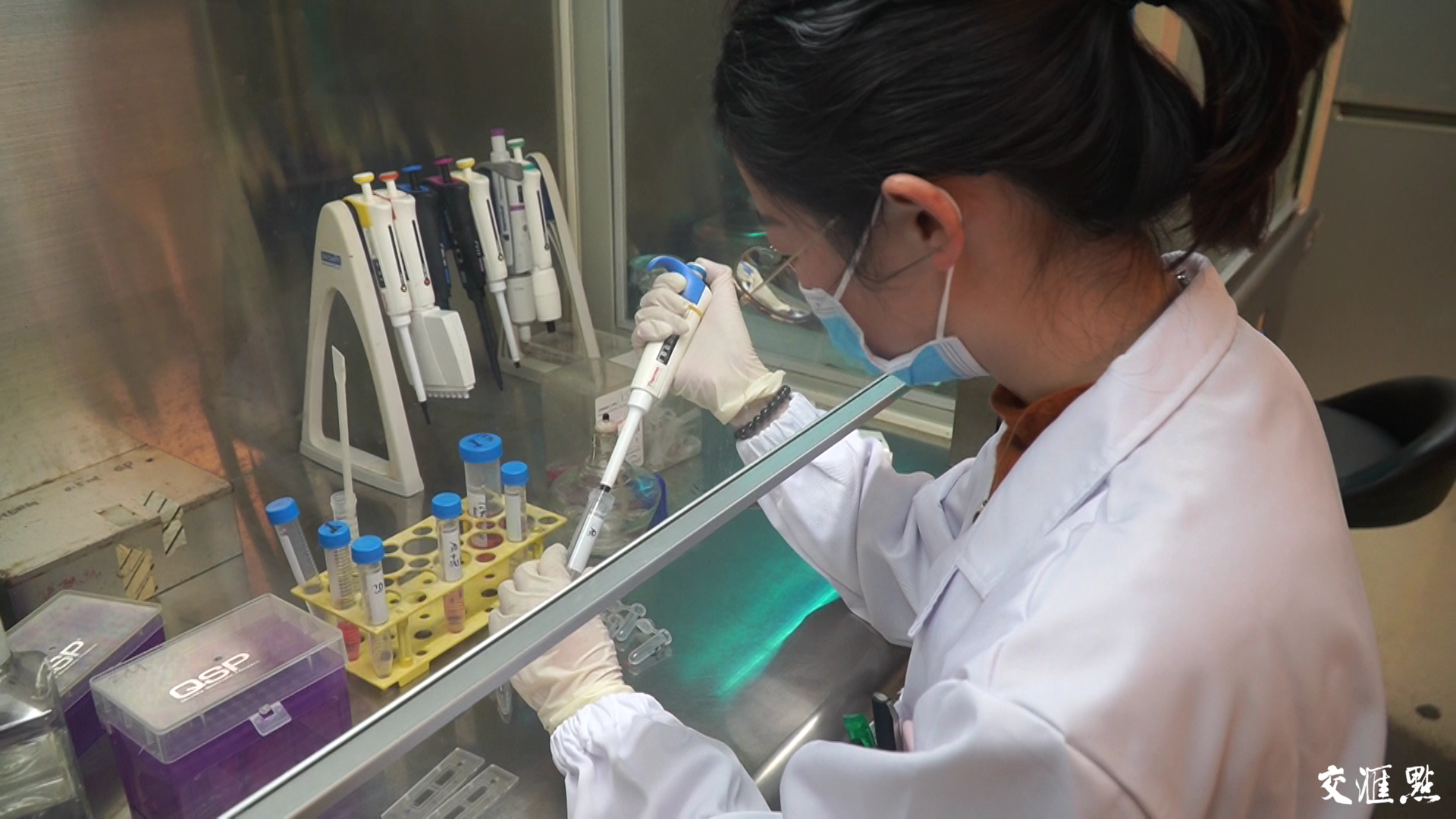 江苏科技版 生物,江苏科技版下的生物探索之旅