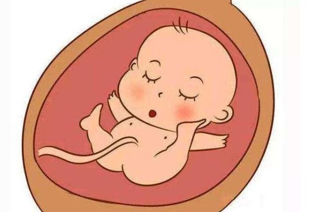 孕七个月晚上胎动频繁,孕七个月晚上胎动频繁，探索孕期奥秘与母婴互动的美好时刻