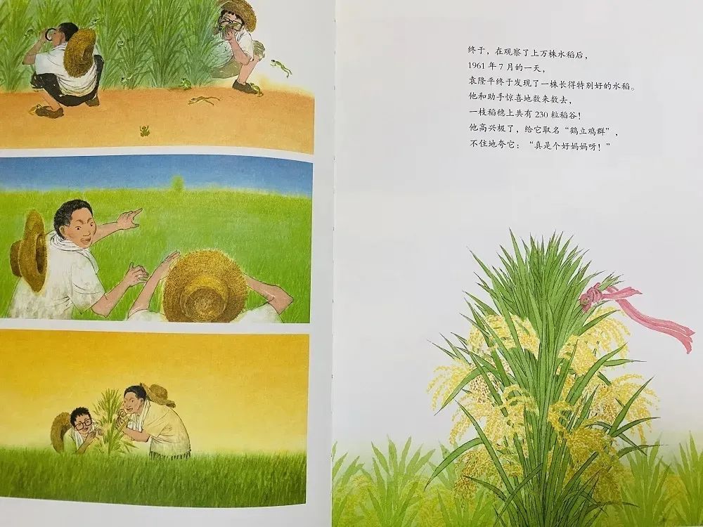 交往半个月,交往半个月，初探情感世界的微妙变化