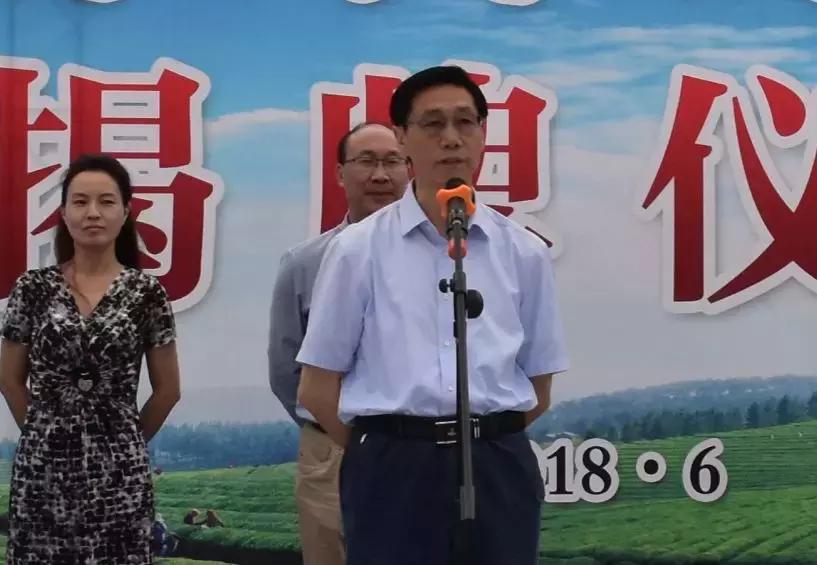 广东省创业协会,广东省创业协会，引领创新与发展的先锋力量