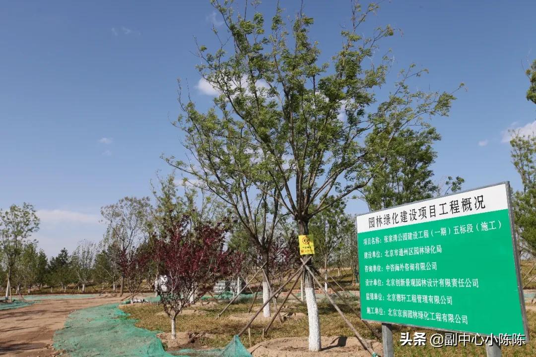 广东绿环城科技有限公司,广东绿环城科技有限公司，引领科技，铸就绿色未来