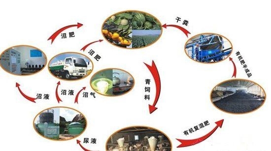 广东省畜禽废弃物,广东省畜禽废弃物的处理与资源化利用