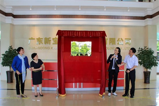 广东康乐有限公司,广东康乐有限公司，创新发展的典范