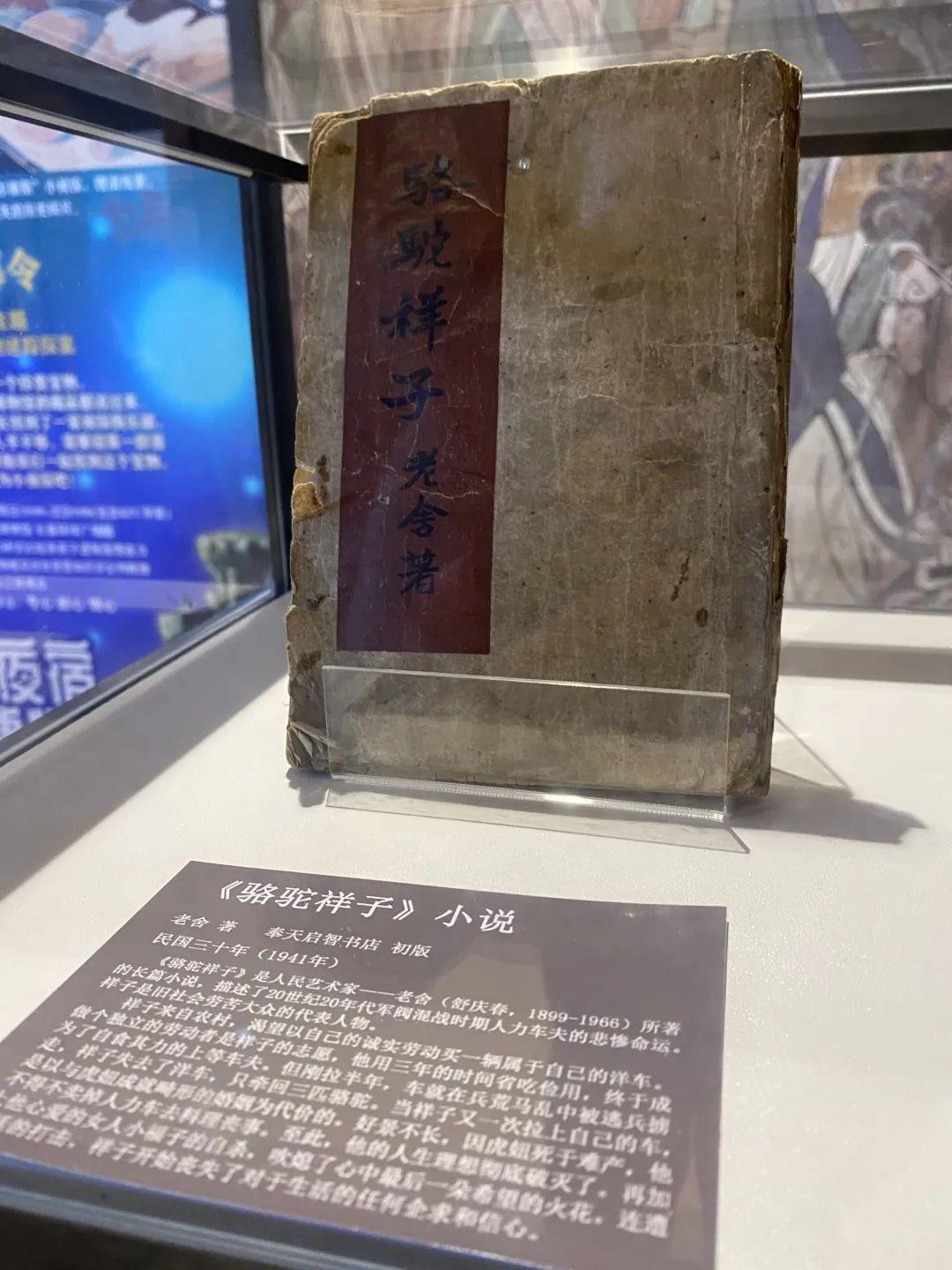 广东省博物馆参观体会,广东省博物馆参观体会，历史与文化的深度沉浸之旅