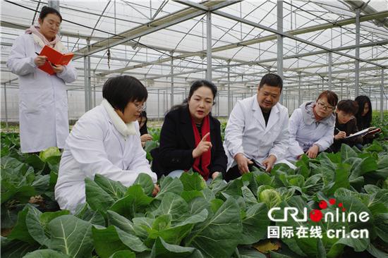 江苏锐达农业科技,江苏锐达农业科技，引领现代农业科技的新力量