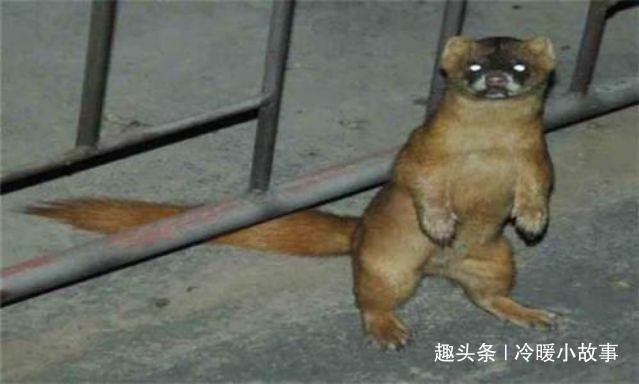 宝宝一岁两个月了还不会说话,宝宝一岁两个月了还不会说话，探寻原因与应对策略