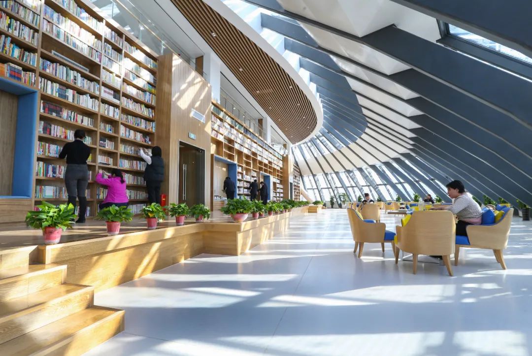阿勒泰市图书馆最新项目,阿勒泰市图书馆最新项目，打造现代化阅读空间