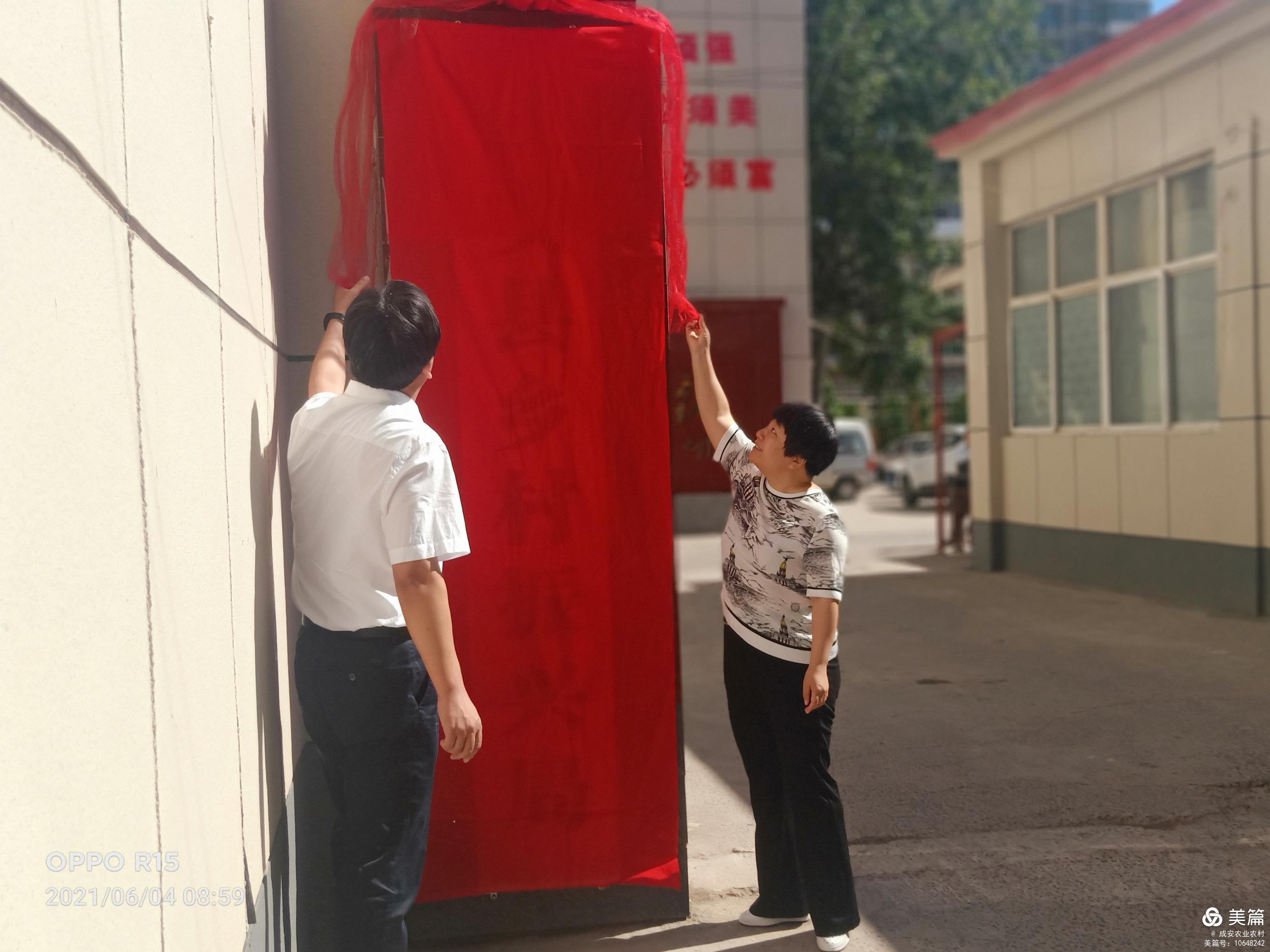 盐亭县初中最新招聘信息,盐亭县初中最新招聘信息详解