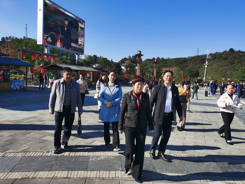 沙洲镇最新项目,沙洲镇最新项目，引领未来发展的新动力