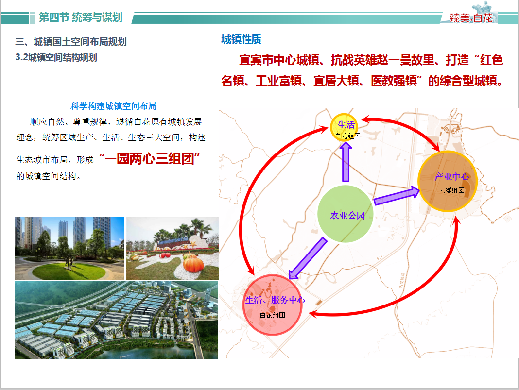 新闻资讯 第123页