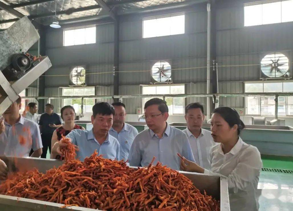 毕节地区市招商促进局最新项目,毕节地区市招商促进局最新项目动态