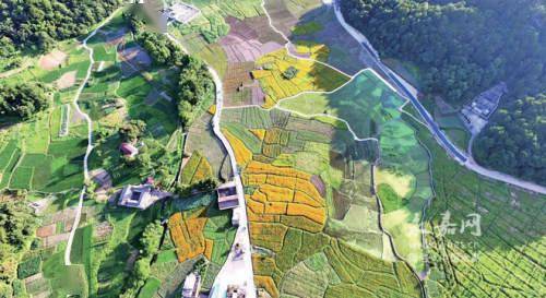 平湖镇最新项目,平湖镇最新项目，引领地区发展的强大引擎