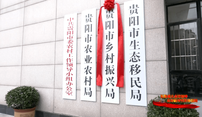 丁门村民委员会最新项目,丁门村民委员会最新项目，乡村振兴的新篇章