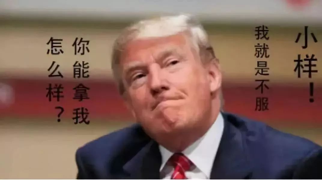 谢家岭村民委员会最新领导,谢家岭村民委员会最新领导团队及其展望