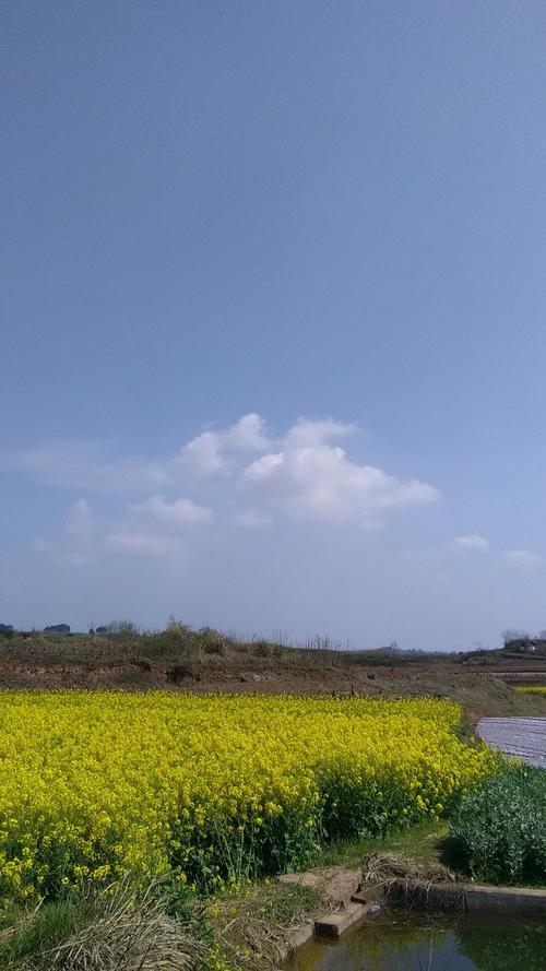 板山坪镇最新天气预报,板山坪镇最新天气预报