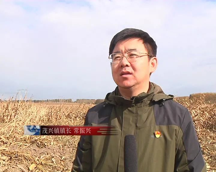 茂兴镇最新领导,茂兴镇最新领导团队，引领未来，共筑繁荣