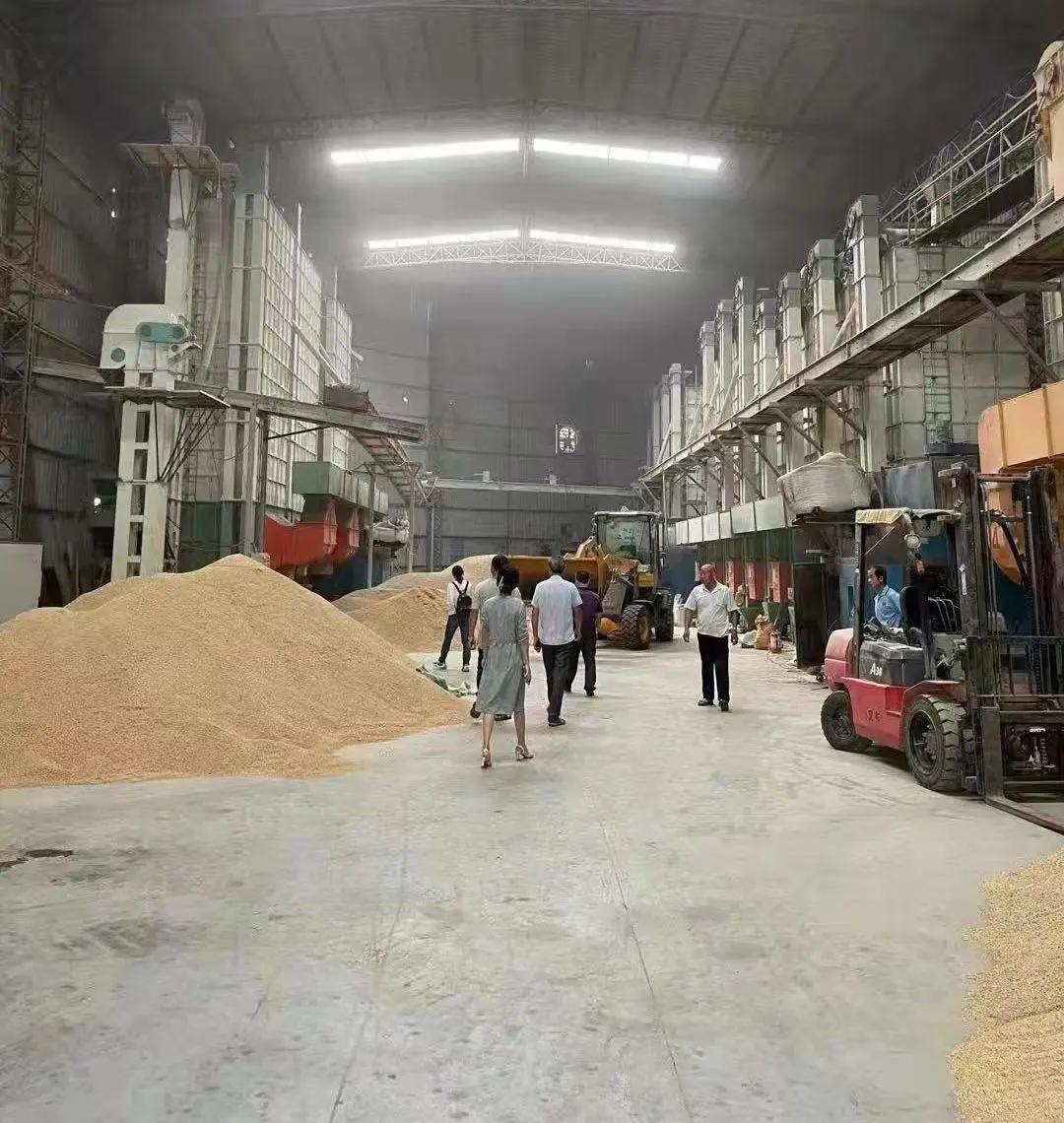 顺昌县人力资源和社会保障局最新招聘信息,顺昌县人力资源和社会保障局最新招聘信息详解