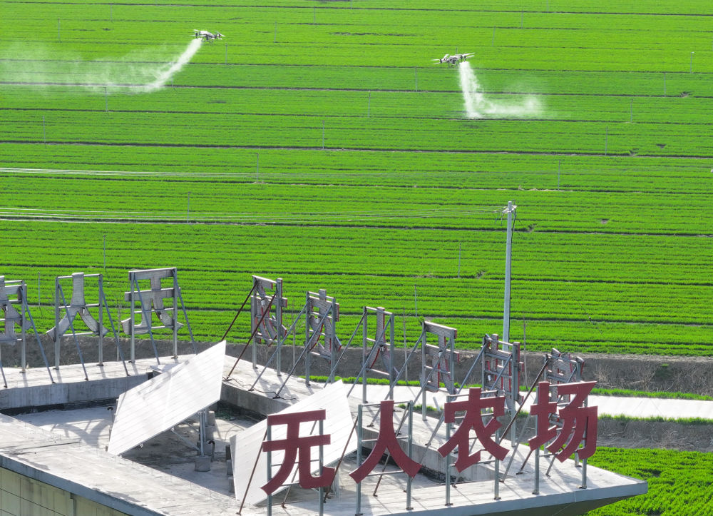 湘江农场最新新闻,湘江农场最新新闻报道