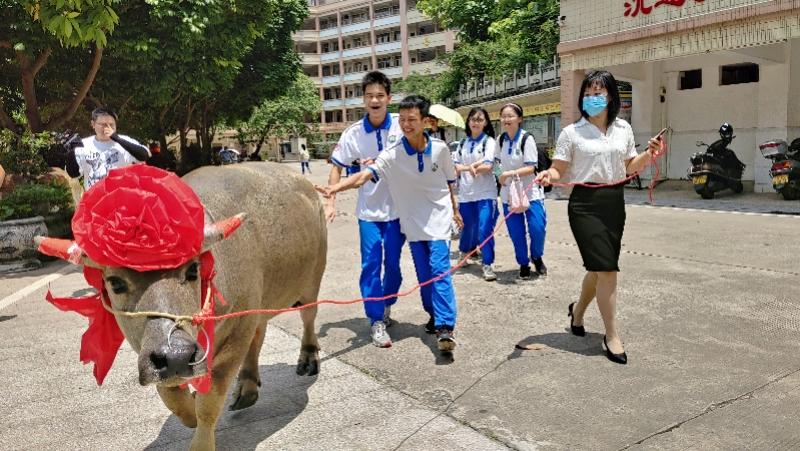 高州市人民政府办公室最新项目,高州市人民政府办公室最新项目概述