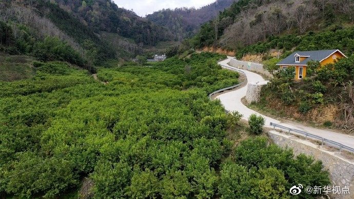 勐秀乡最新新闻,勐秀乡最新新闻，展现乡村新面貌，引领发展新征程