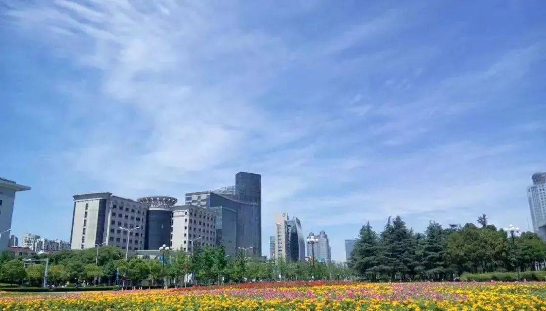台州市市城市社会经济调查队最新发展规划,台州市市城市社会经济调查队最新发展规划