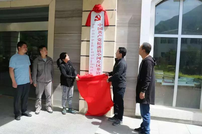 松潘县文化局等最新发展规划,松潘县文化局最新发展规划，繁荣文化事业，推动文化产业发展新篇章