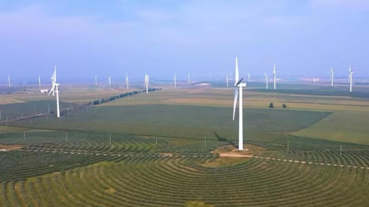 察哈尔右翼前旗级公路维护监理事业单位最新新闻,察哈尔右翼前旗级公路维护监理事业单位的最新动态与成就