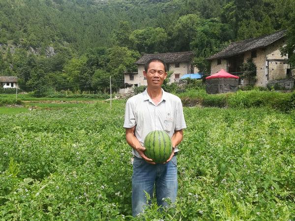 平塘县农业农村局最新新闻,平塘县农业农村局最新新闻