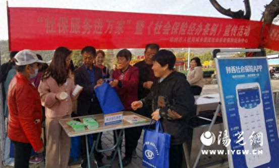 景泰县人力资源和社会保障局最新招聘信息,景泰县人力资源和社会保障局最新招聘信息概览