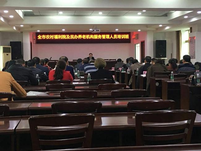 洪湖市交通运输局最新项目,洪湖市交通运输局最新项目概览