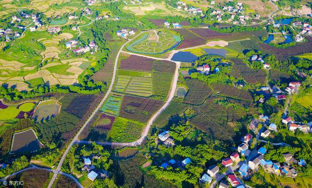 大观区农业农村局最新发展规划,大观区农业农村局最新发展规划