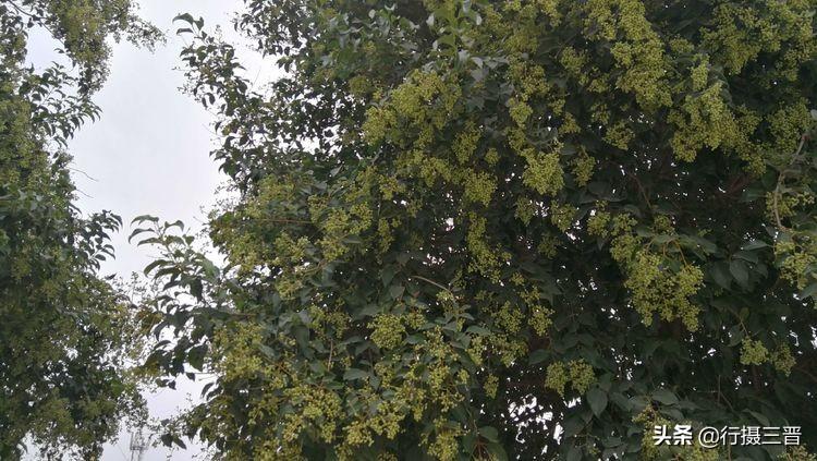 芮城县特殊教育事业单位等最新新闻,芮城县特殊教育事业单位最新动态报道