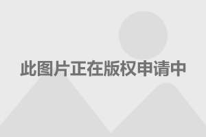 第731页