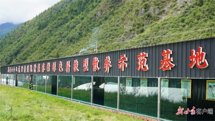 汪布村委会最新项目,汪布村委会最新项目，乡村振兴的新动力