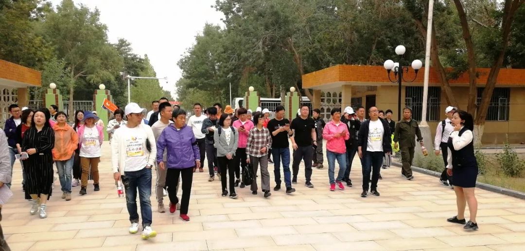阿拉尔市小学最新人事任命,阿拉尔市小学最新人事任命，塑造未来教育的新篇章