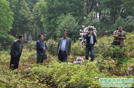林总场林科所最新项目,林总场林科所最新项目进展及其影响