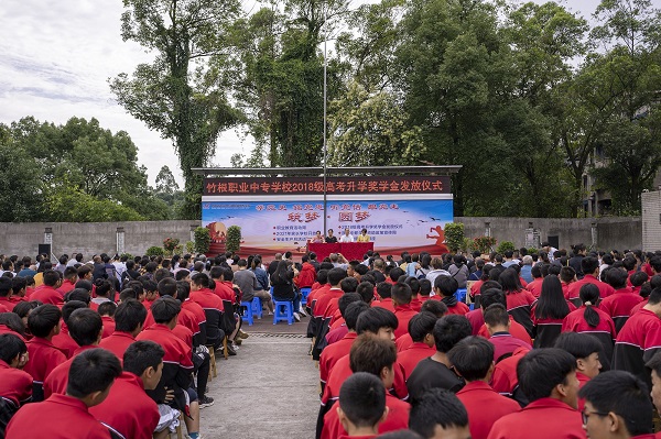五通桥区殡葬事业单位等最新项目,五通桥区殡葬事业单位最新项目深度解析
