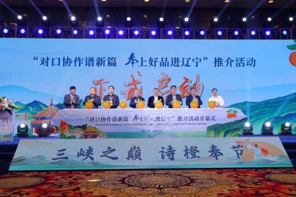 奉节县人民政府办公室最新领导,奉节县人民政府办公室最新领导及其工作展望