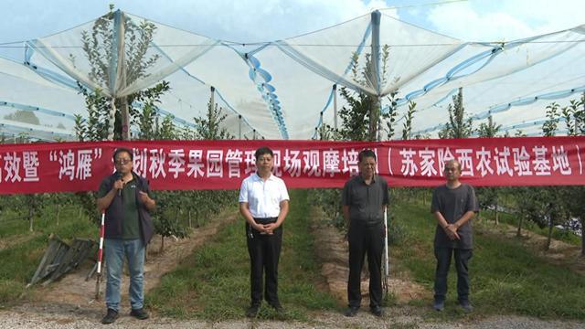 麻科村最新新闻,麻科村最新新闻，乡村振兴的新篇章