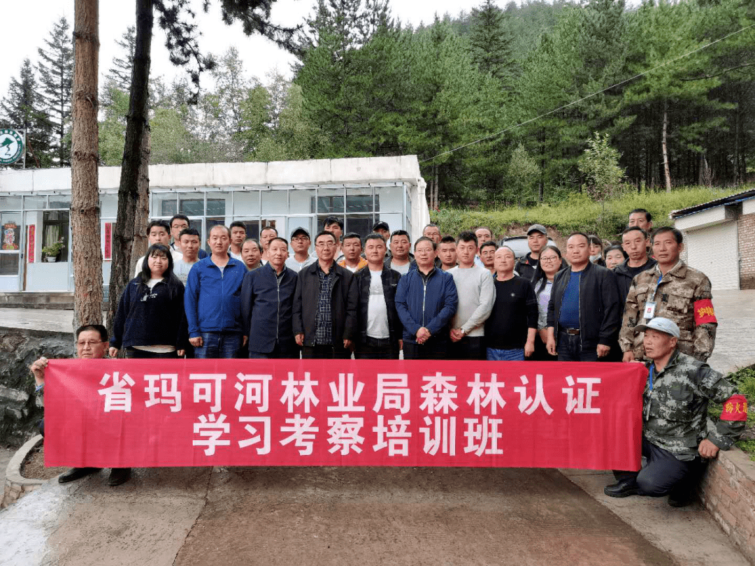 林总场林科所最新交通新闻,林总场林科所周边交通最新动态新闻