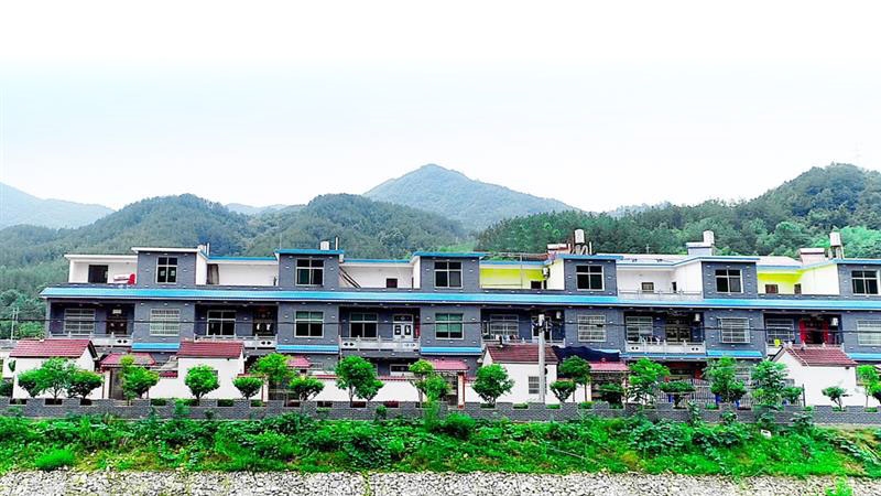 罗山村最新项目,罗山村最新项目，引领乡村发展的典范之作