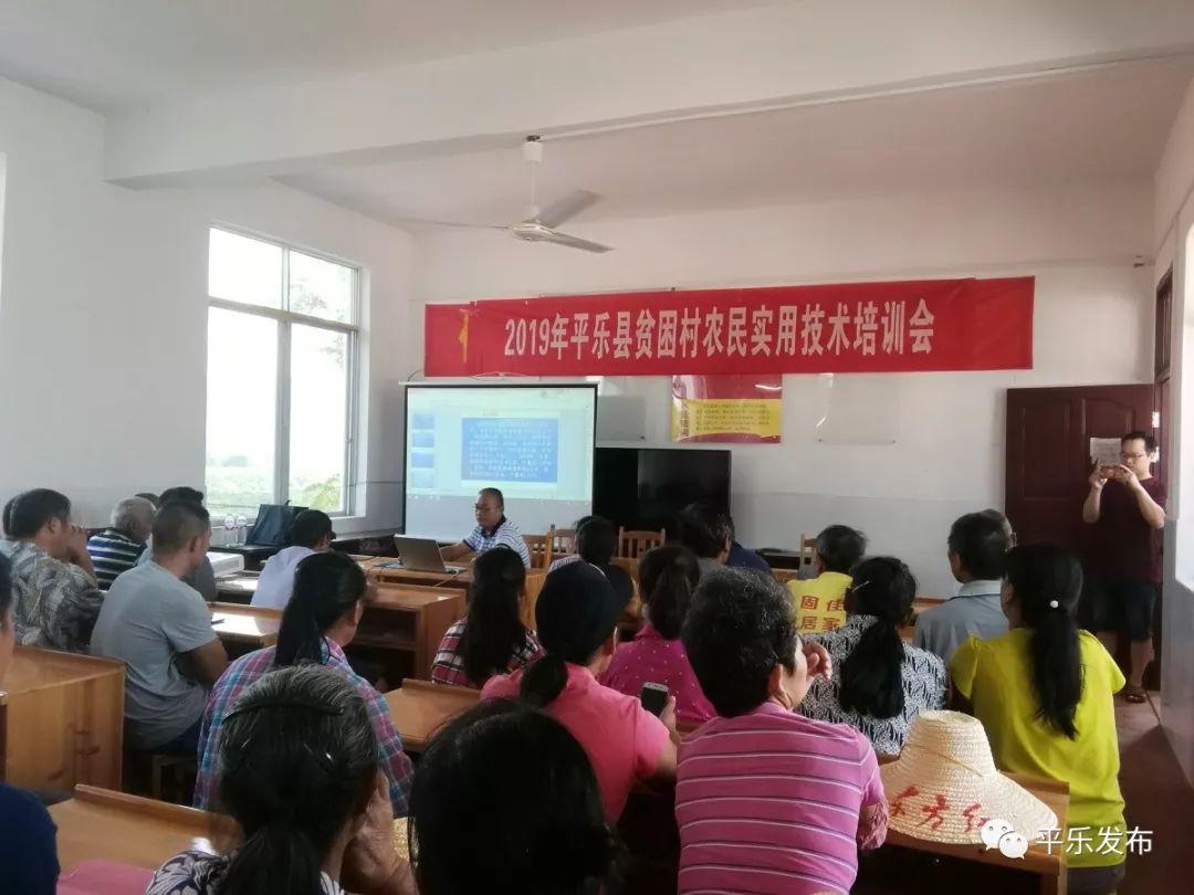平乐县教育局最新项目,平乐县教育局最新项目，引领教育革新，塑造未来之光